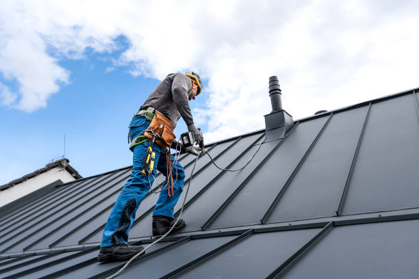 Best Sheet Metal Roofing  in Harris Hill, NY